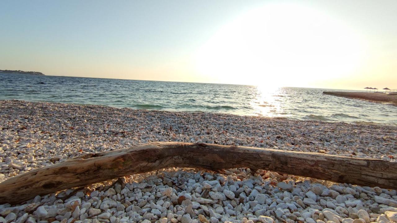 Apartments Marla Poreč Dış mekan fotoğraf