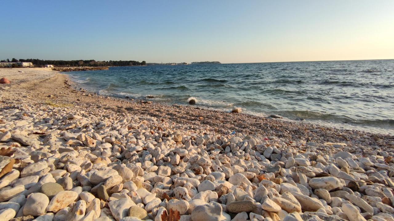 Apartments Marla Poreč Dış mekan fotoğraf