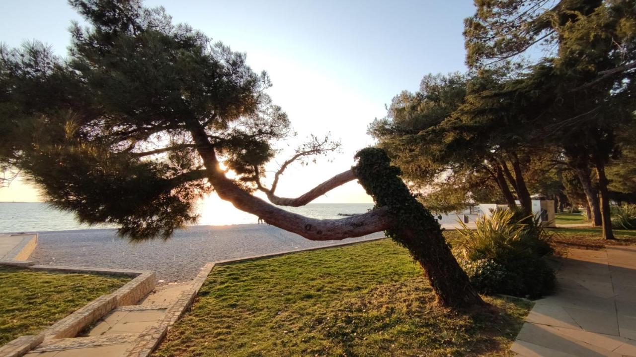 Apartments Marla Poreč Dış mekan fotoğraf