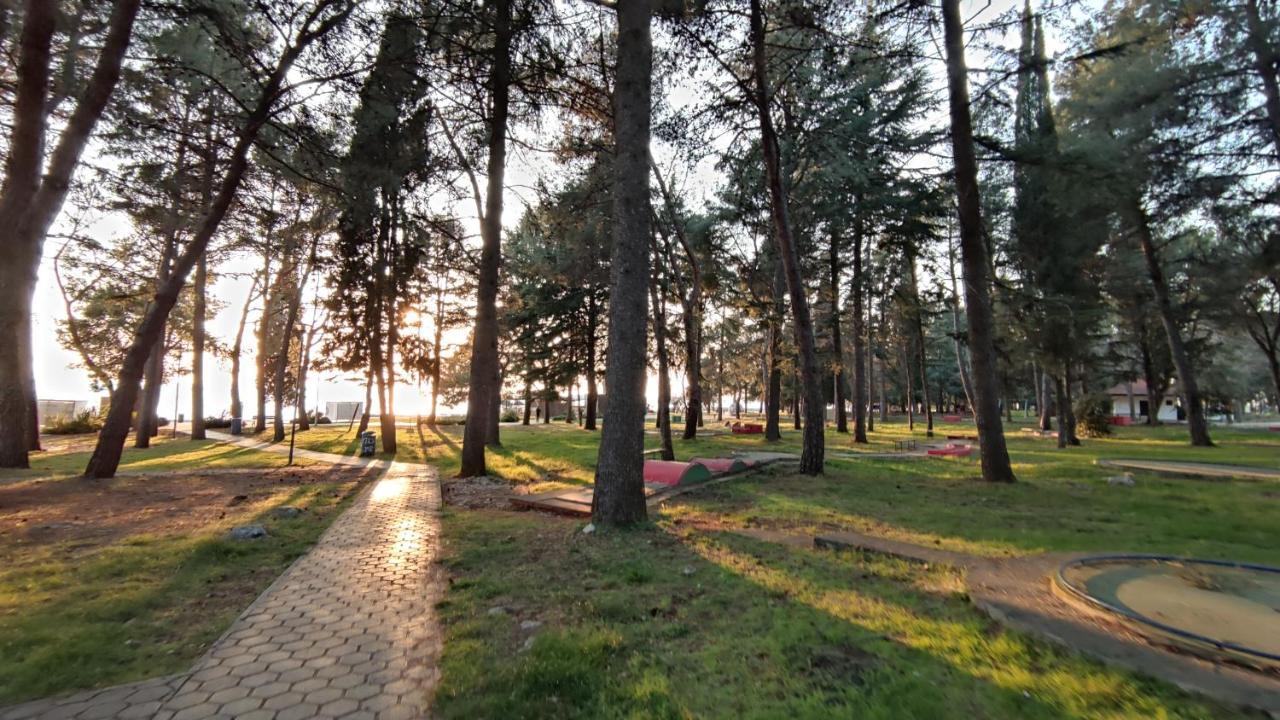 Apartments Marla Poreč Dış mekan fotoğraf