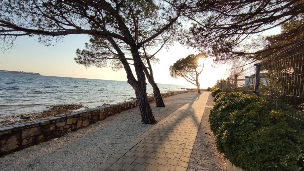 Apartments Marla Poreč Dış mekan fotoğraf